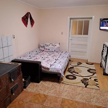 Вилла Casa Argentina Кырцишоара Экстерьер фото