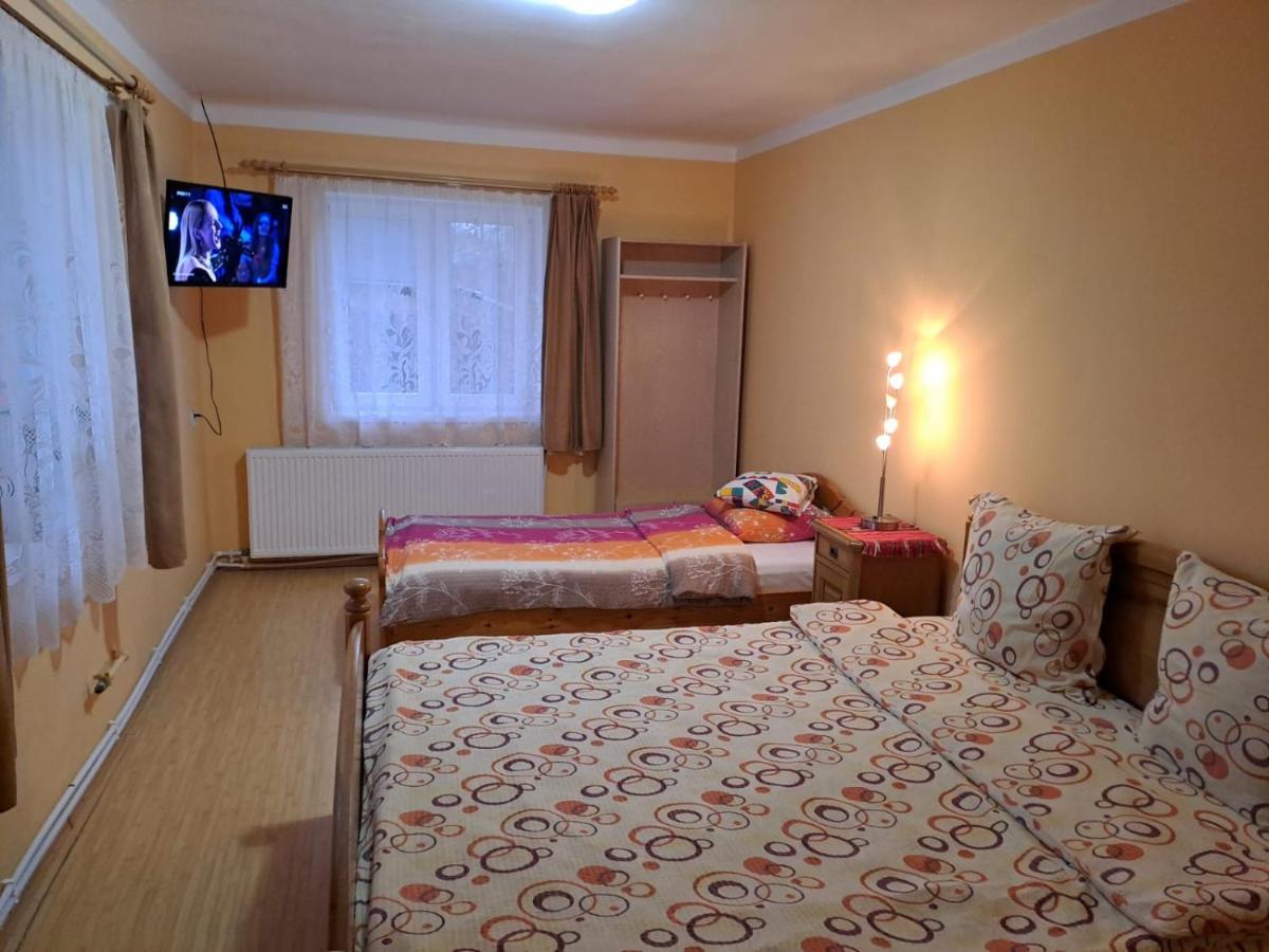 Вилла Casa Argentina Кырцишоара Экстерьер фото