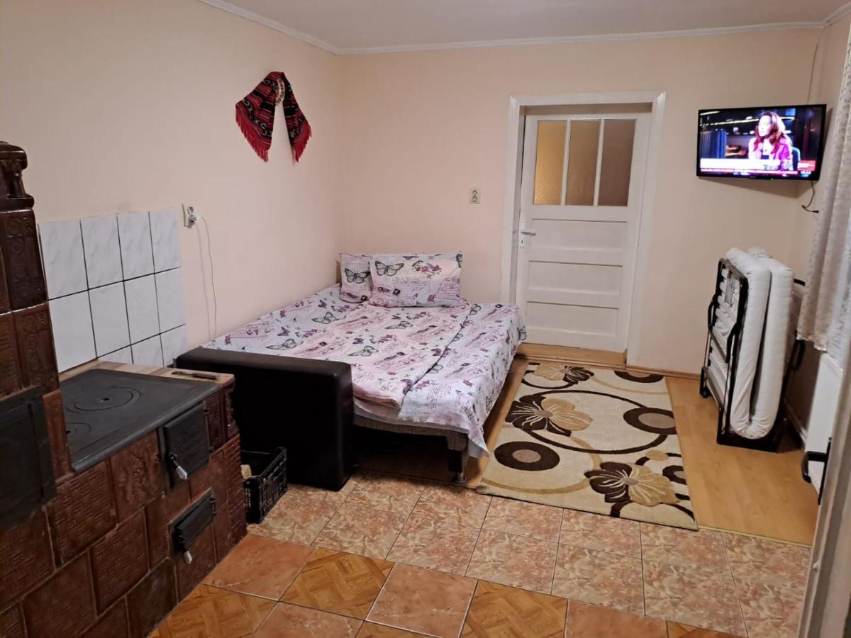 Вилла Casa Argentina Кырцишоара Экстерьер фото