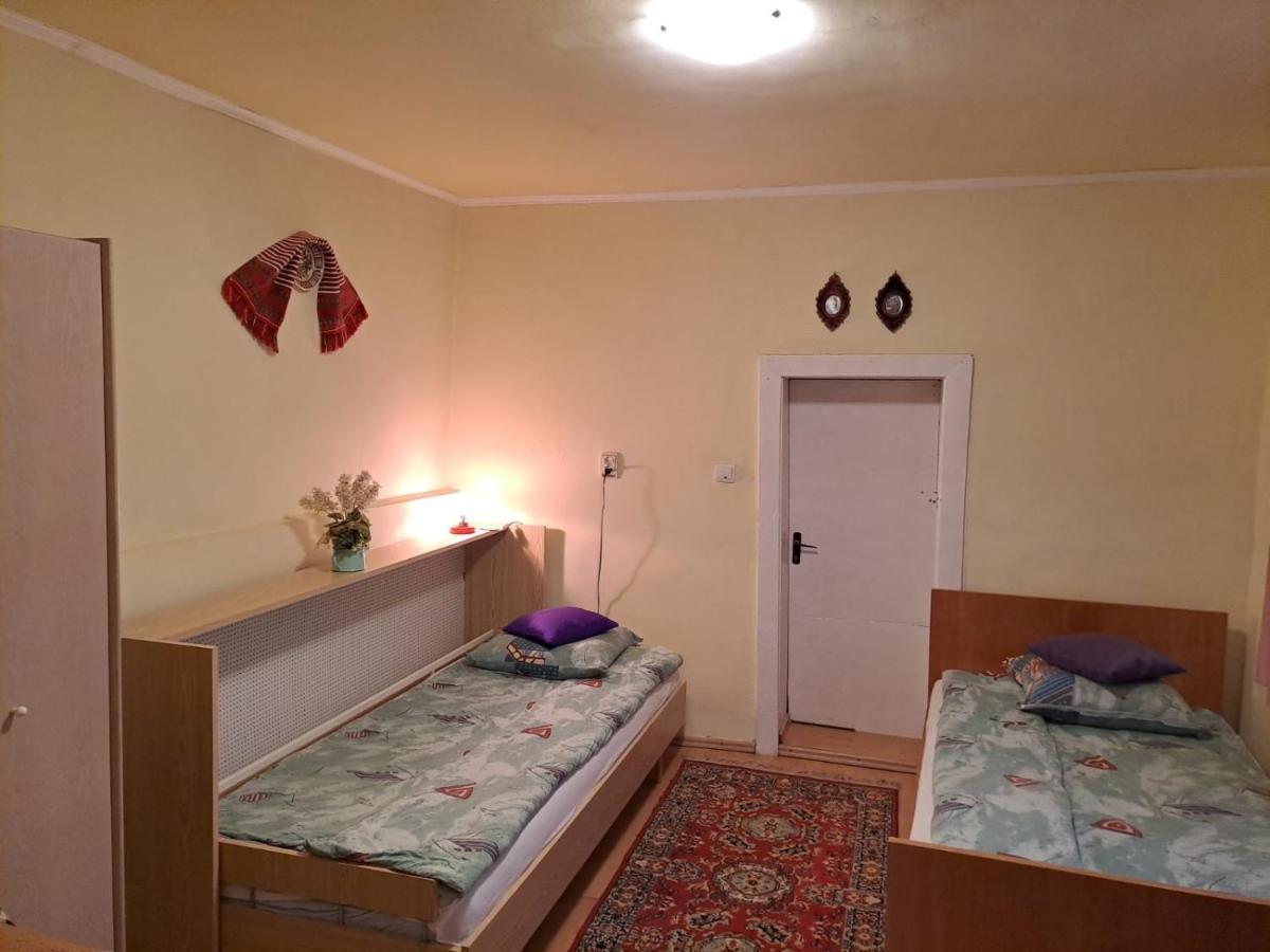 Вилла Casa Argentina Кырцишоара Экстерьер фото