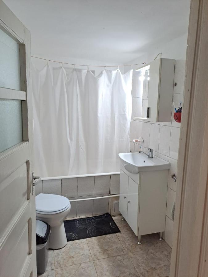 Вилла Casa Argentina Кырцишоара Экстерьер фото