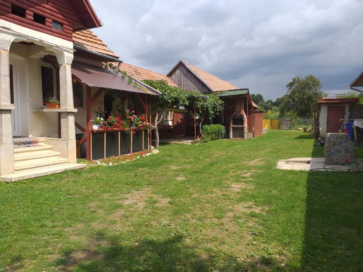 Вилла Casa Argentina Кырцишоара Экстерьер фото